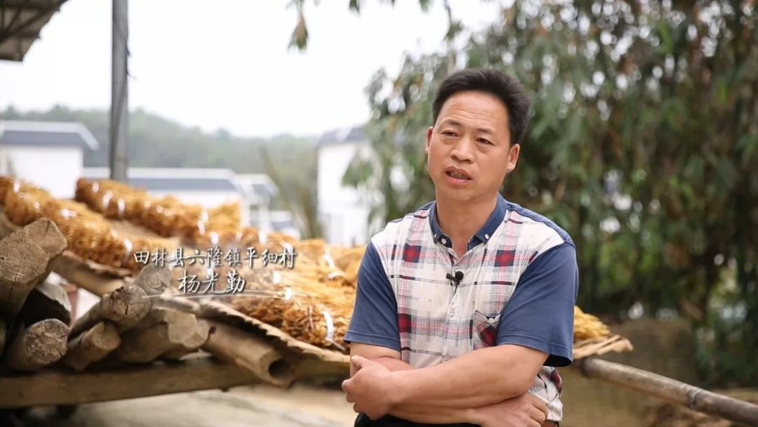 微纪录片丨我爱家乡菜-笋香田林_六隆镇