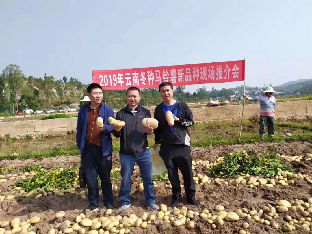 2019年云南省经济_云南经济管理学院第九届学术委员会2019年第一次会议顺利召开(2)