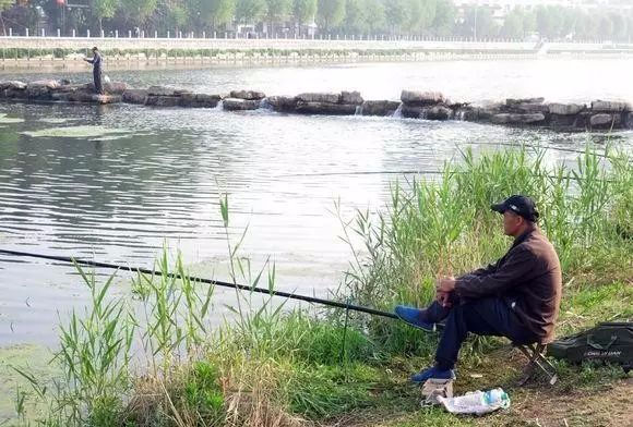 钓鲫鱼技巧口诀_鱼儿