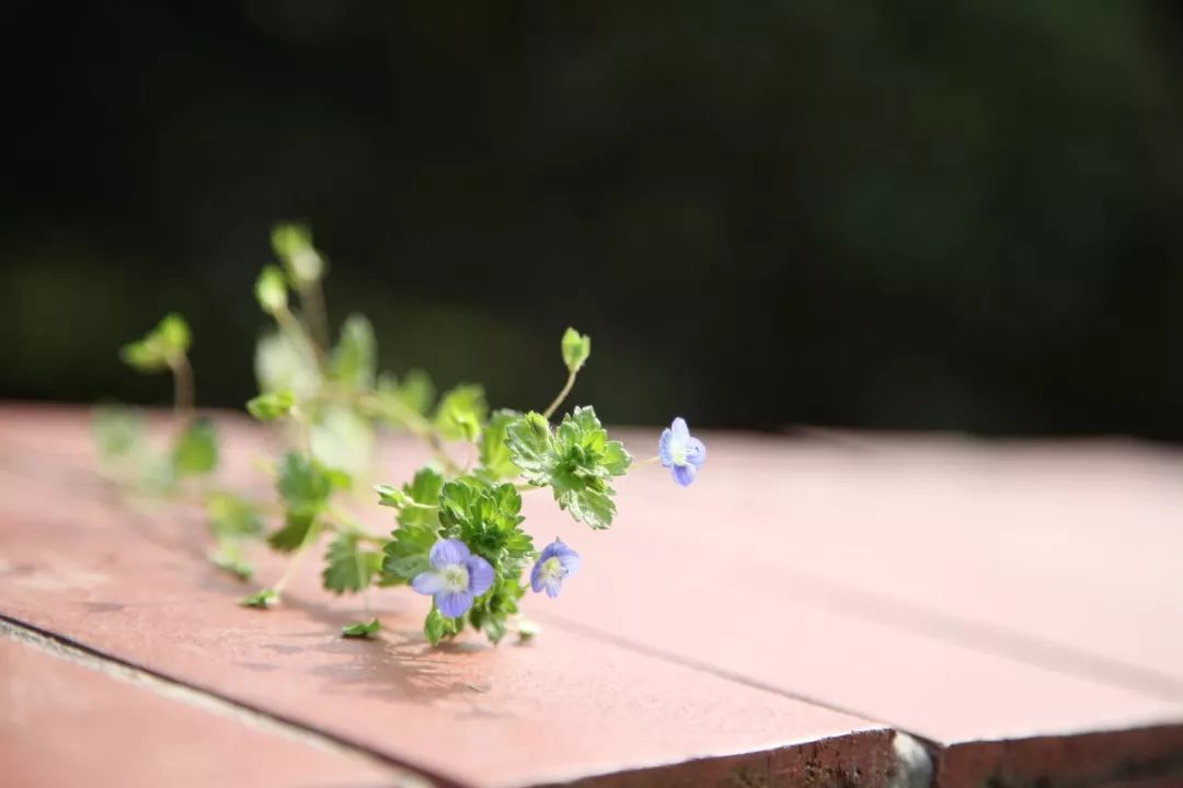 添人口的祝福语_2015年世界人口日祝福语