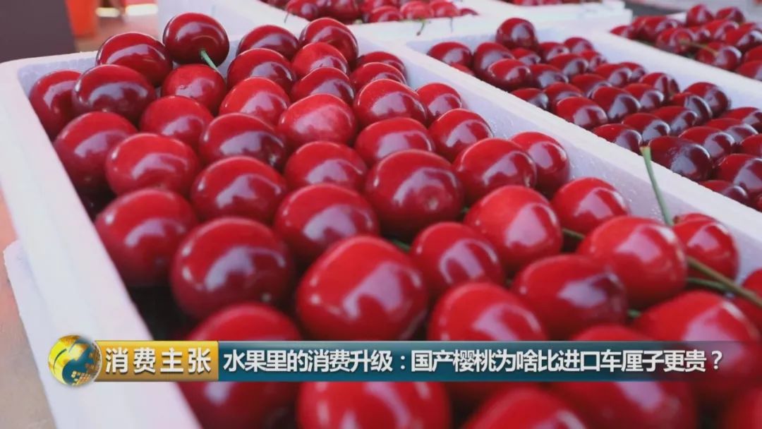 国产樱桃为啥比进口车厘子更贵?