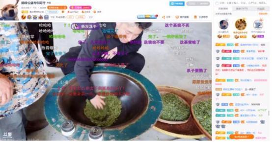 斗鱼飞机多少钱一个