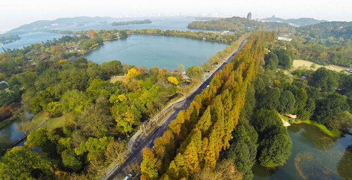 文章配图-6