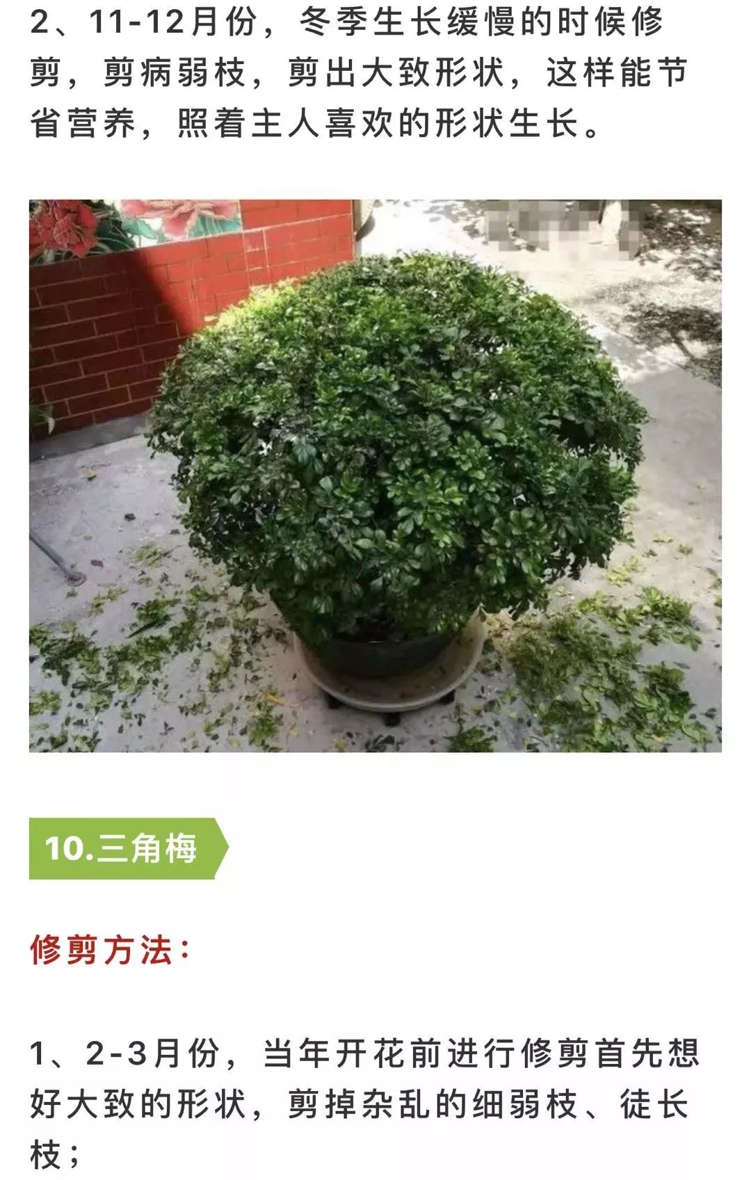 701eae0cc9844f58a3a50978788fffd4.jpeg