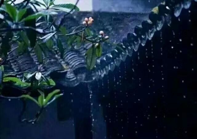 那些比伞更高的雨声 去了远方 凯时娱乐官方网站