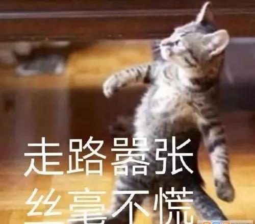 925488b3a3bf40ed816d35bbf07abbfc.jpeg
