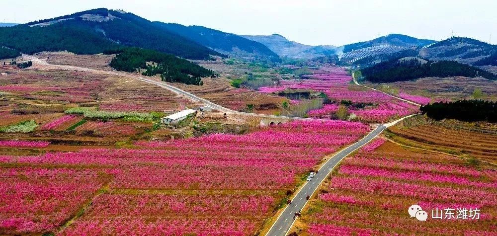 因道路婉转,沿途风景秀丽,安丘西南山区的"天路"和临朐嵩山生态旅游区