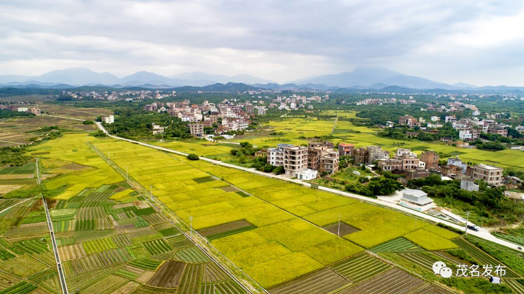 电白人口村_电白蓝田坡村