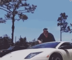 怎么下载抖音里面的动图 9eb3840abf6a4fa99f54179c4fd59b33.gif