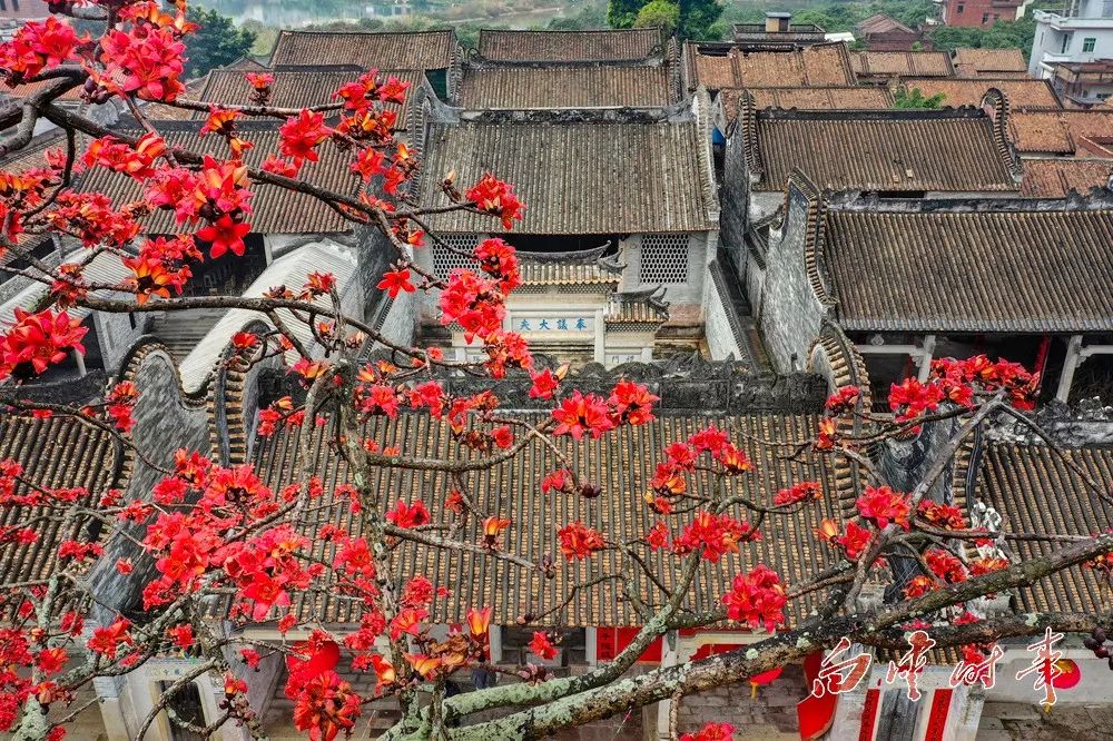 五一假期白云天气平稳,宜出行_龙岗村