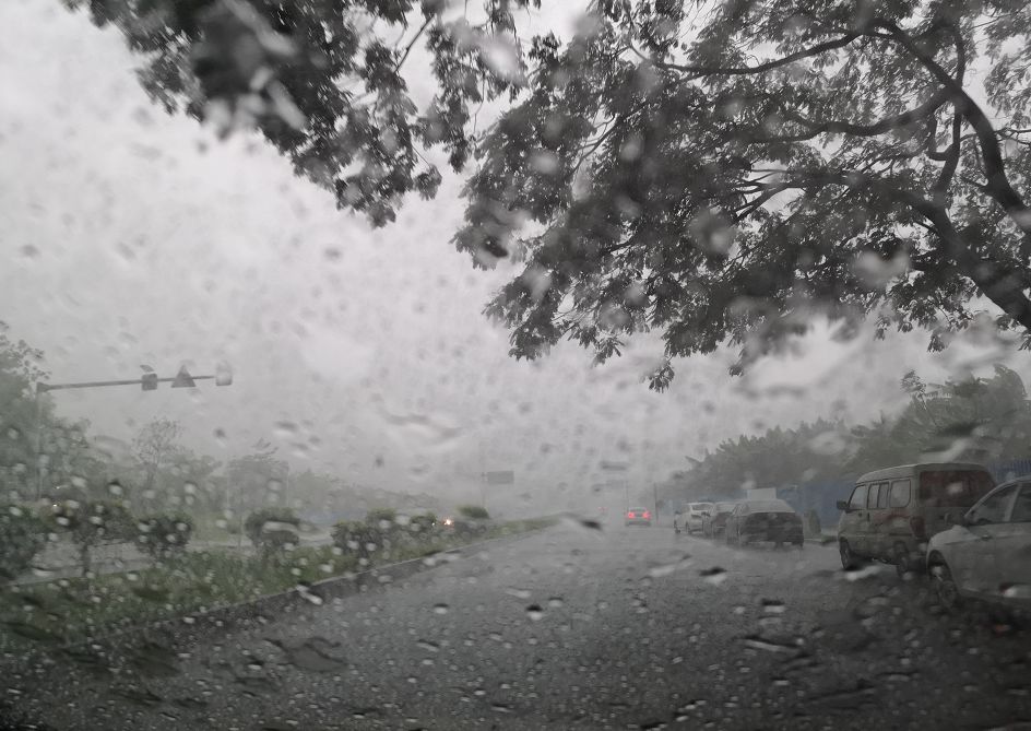 雷暴雨 8级大风已杀到!多辆小车,房屋被砸!百年老树被吹倒!