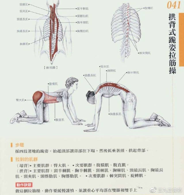 什么是交叉腿综合征 aa7d1d914ca74b3888048aa99dc3bb8c.jpeg
