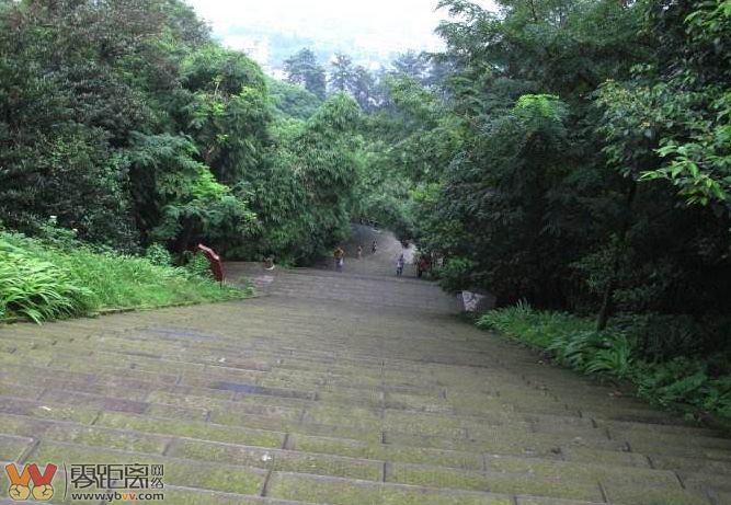 一男子从翠屏山步道骑自行车冲下失控摔倒,刷爆朋友圈,真相是