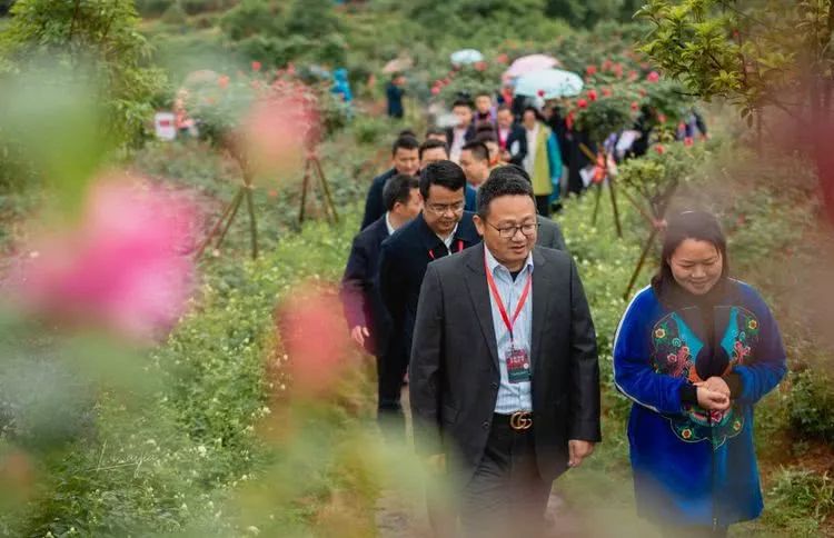 花垣婚纱照_花垣武道