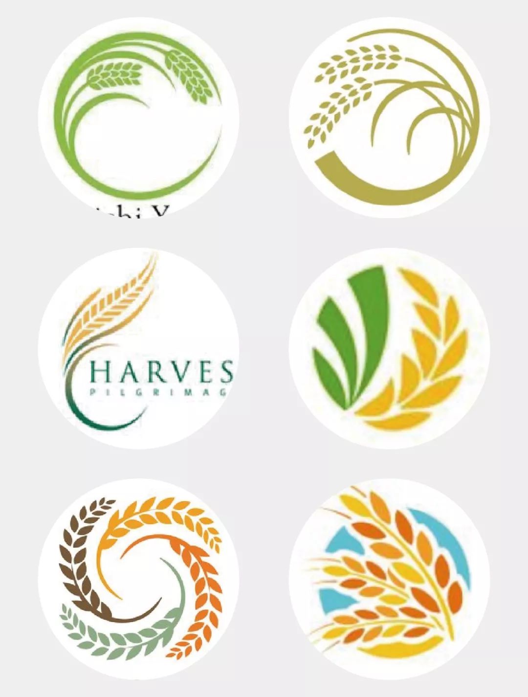 如何3步做出农产品logo,并让一般人觉得吃不起?