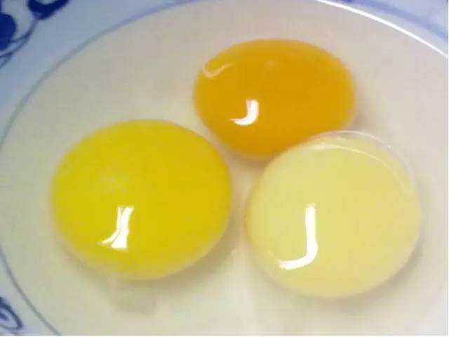 d13ffa8ae767448b8cd7bd76abc98097.jpeg