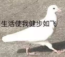 d749f90f7b364497b6d36e2c3fa7a88f.jpeg