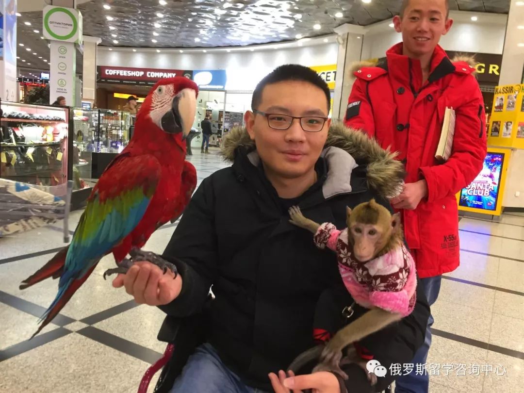 亚欧经济总量对比_亚欧非头发对比图(3)
