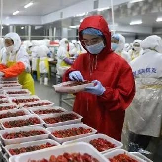 跟票贩子相爱相杀这么久，你知道他们为啥叫黄牛吗？