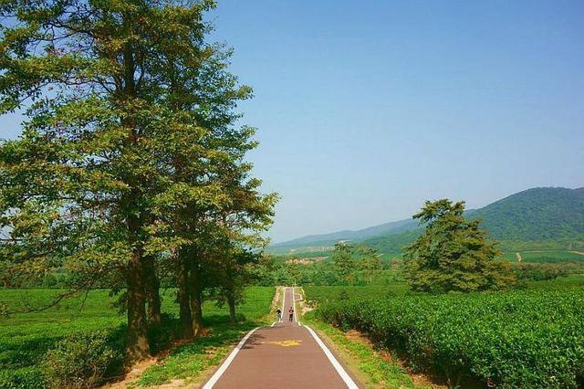 出行攻略:建议自驾出行, 导航到:龙池山自行车公园