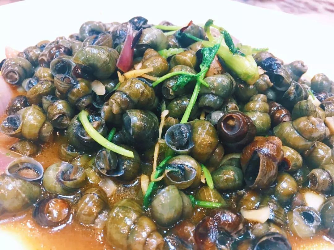 鱼多大可以吃螺蛳 e9f4ea38914d483a9cc17ce393be01a4.jpeg