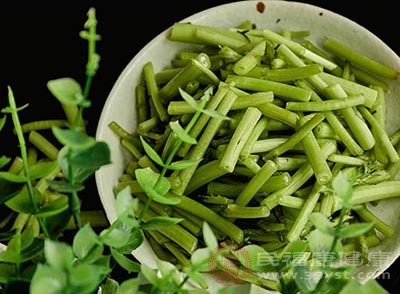 啥时候可以种茼蒿 ebbc5a4dc1e24cb7b14f08fa2644d532.jpeg