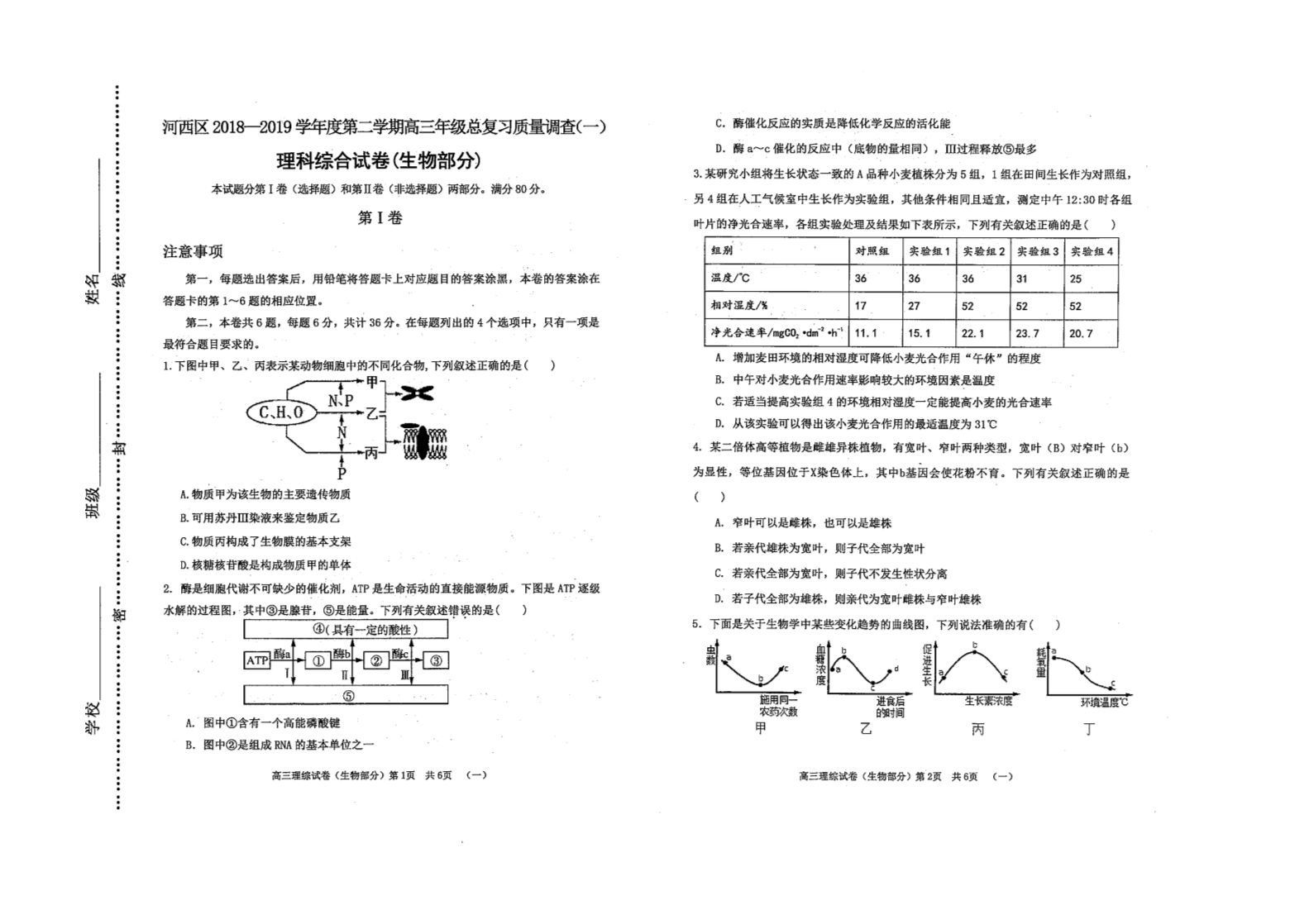 高考文综试卷格式