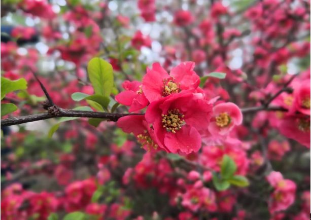 f373430b50504a138388d0bfc58c5533.jpeg