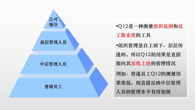 盖洛普q12问卷数据分析