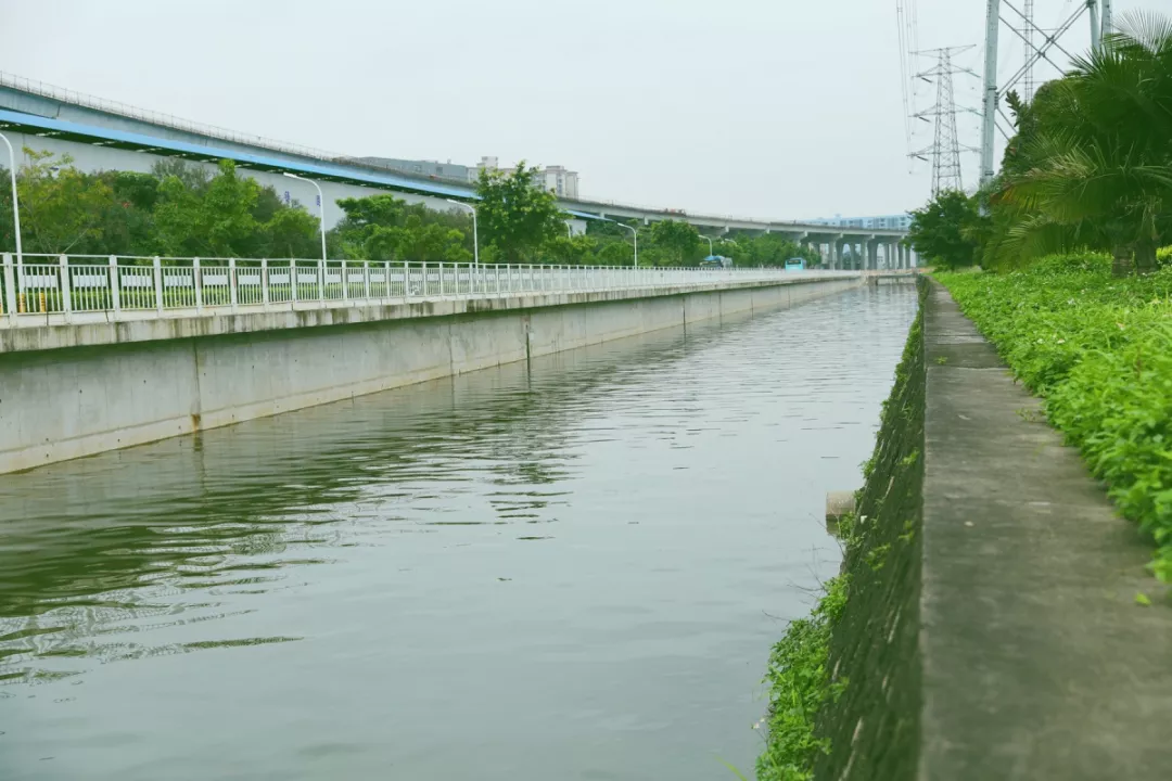 松岗街道人口_深圳松岗街道图片(3)