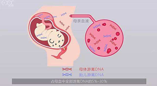                     怀孕后，多久能查出“胎儿骨骼畸形”？过了这一周，孕妈妈才放心