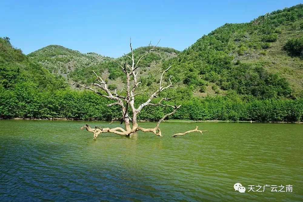 来吧,5月1日,广南西洋江大峡谷,侬人谷景区开放