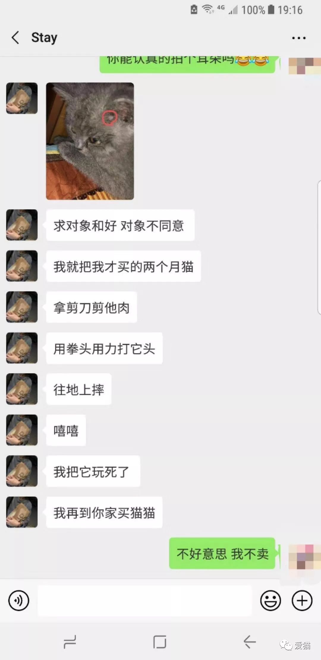 “对象不同意和好,我就杀猫!” 博e百娱乐城官方网