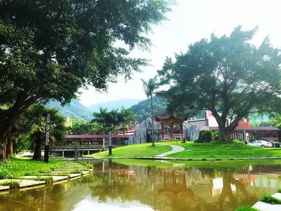 ������ʦ�ʸ�֤��ο�ȡ,��Ҫѧʲô�������?