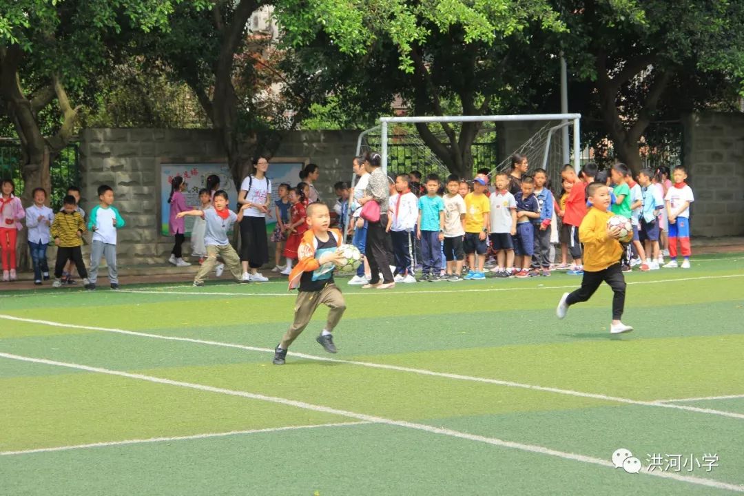 校园风采 | 洪河小学运动会特辑:精彩比赛瞬间