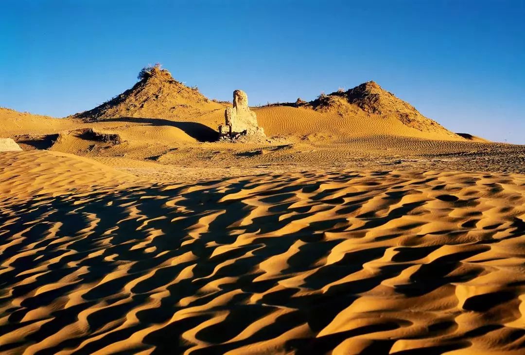 塔里木盆地位于新疆的什么地方 39d7cc4c54684148880de34bcc8955dd.jpeg