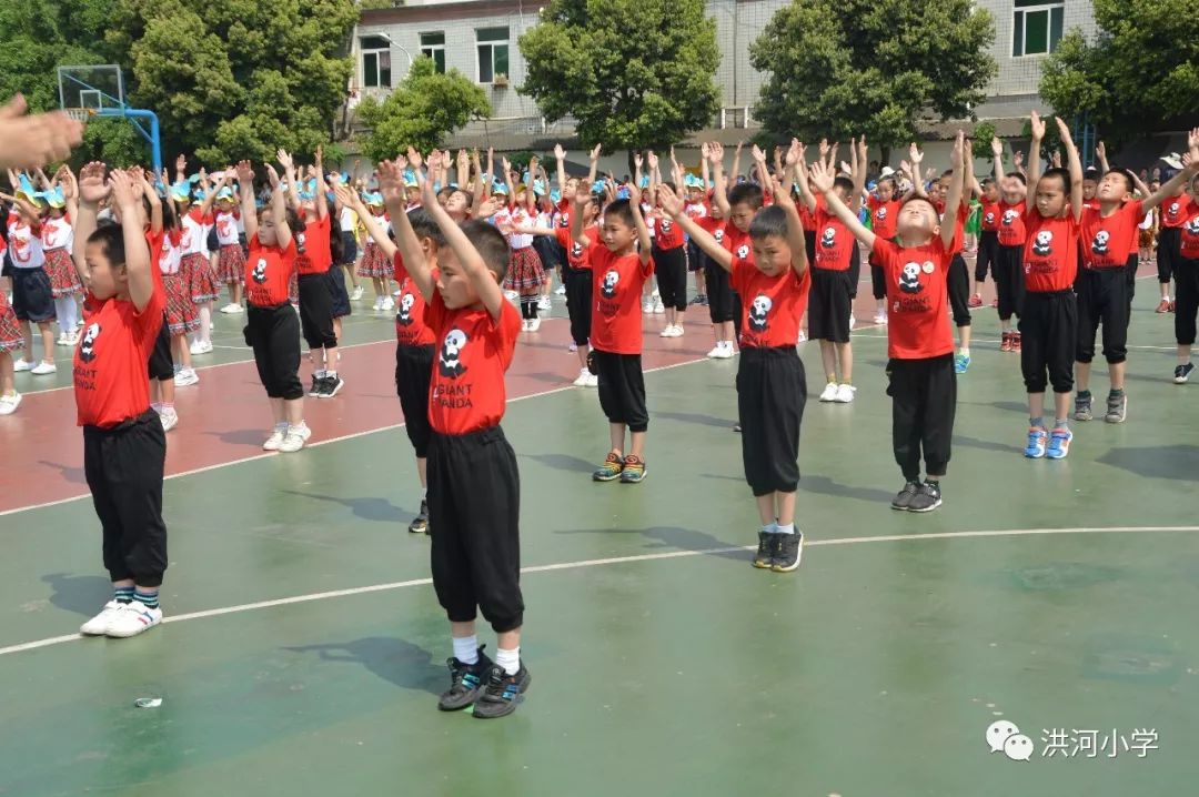 校园风采 | 洪河小学运动会特辑:精彩比赛瞬间