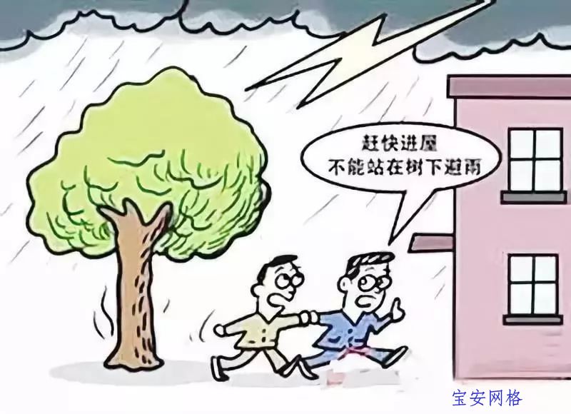 安全知识|下雨天需要注意什么?