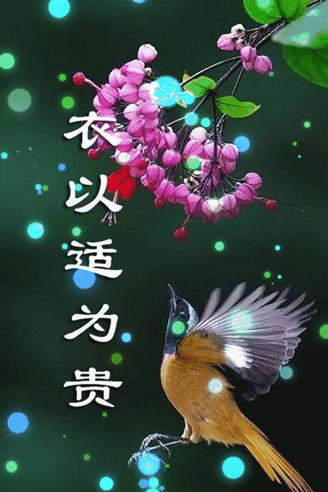 我的朋友!