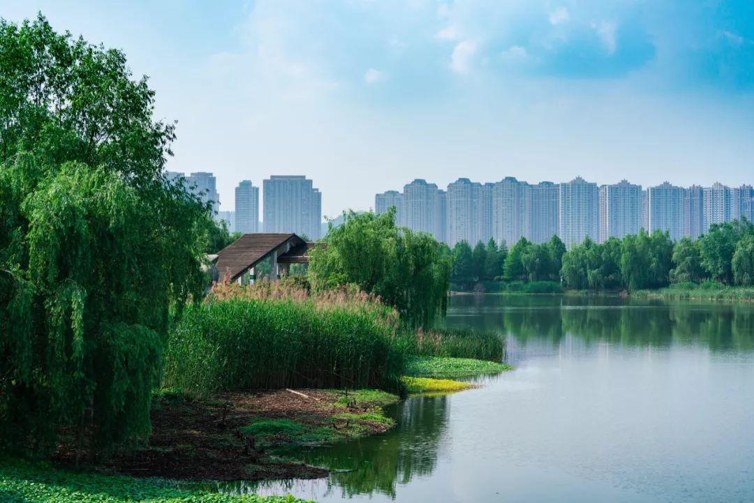 (洋湖湿地公园实景图)