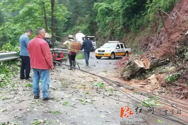 昨日,暴雨致吉首马颈坳镇县道边坡塌方.