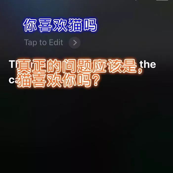 有siri你还要对象干什么这种沙雕对话我能在家玩儿一天