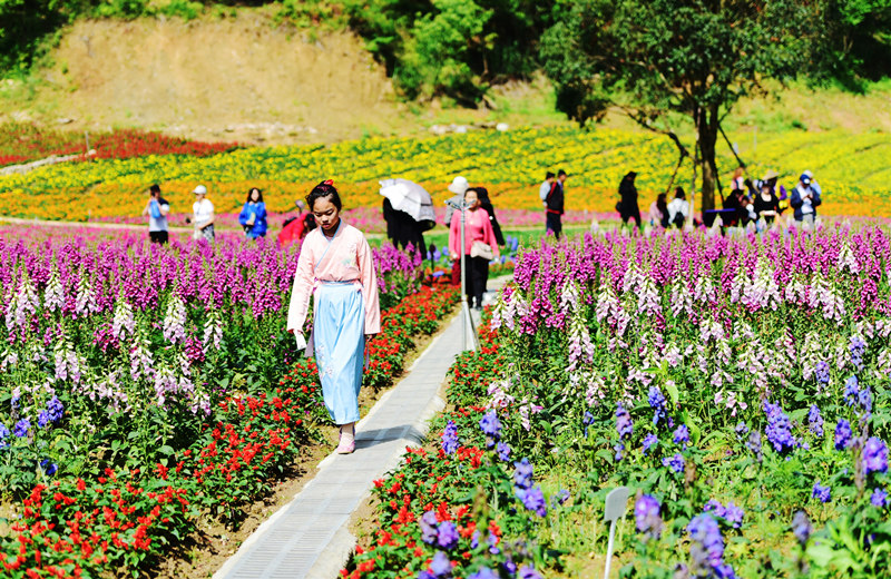 【多图】上新了,游客中心!英山四季花海新游客中心正式挂牌启用