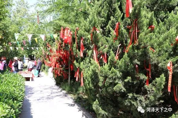 定陶有多少人口(2)