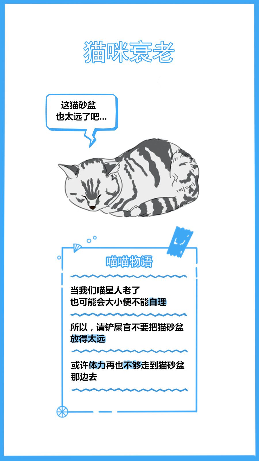 59秒冷盘点:又怪猫乱尿是报复你呢?冤枉了人家