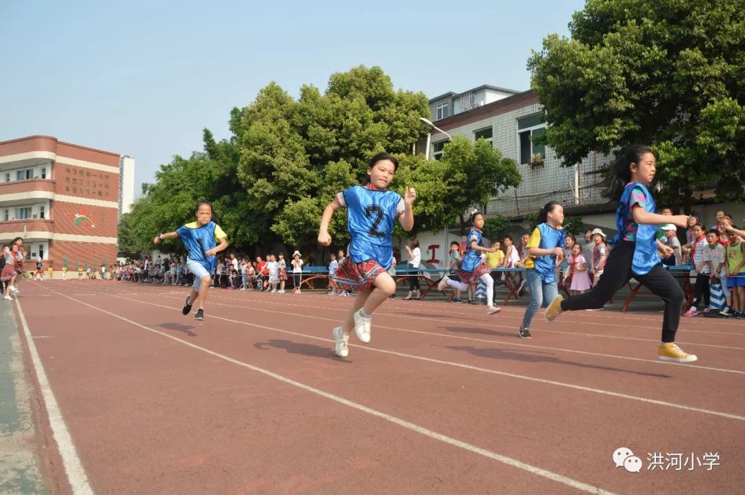 校园风采 | 洪河小学运动会特辑:精彩比赛瞬间