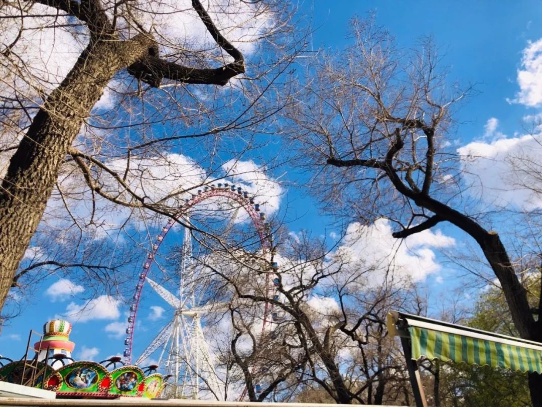 五一游玩必备!2019哈尔滨超新景区门票大全来