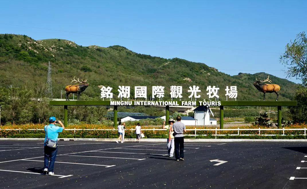 五一亲子游2300亩铭湖牧场开园啦赏花萌宠喂食看马术表演野餐带孩子