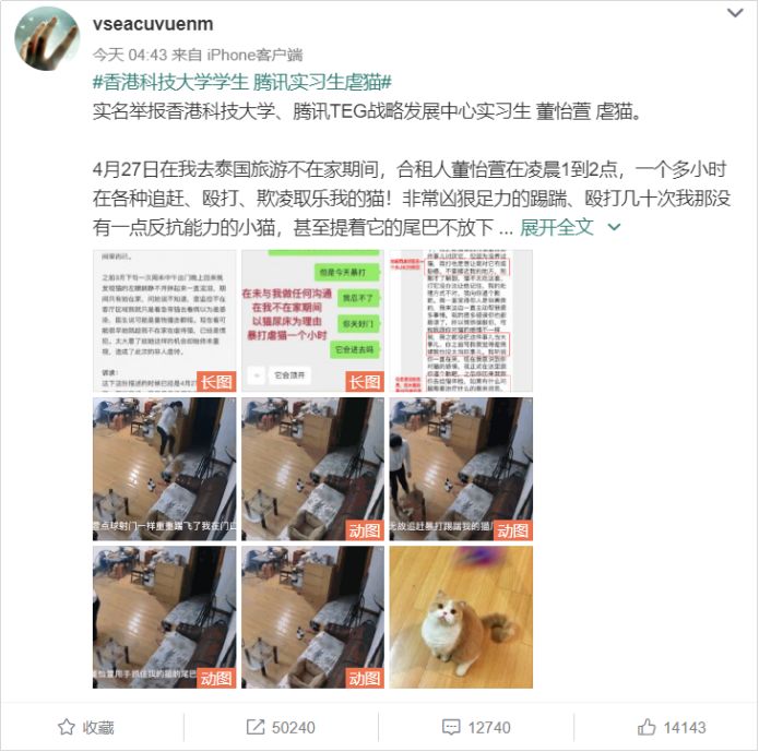 腾讯实习生虐猫引全网讨伐,腾讯回应