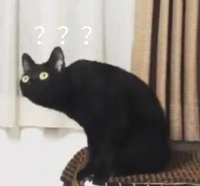 小黑猫是什么表情 7c947349263545d4868648c68bb708bf.jpeg